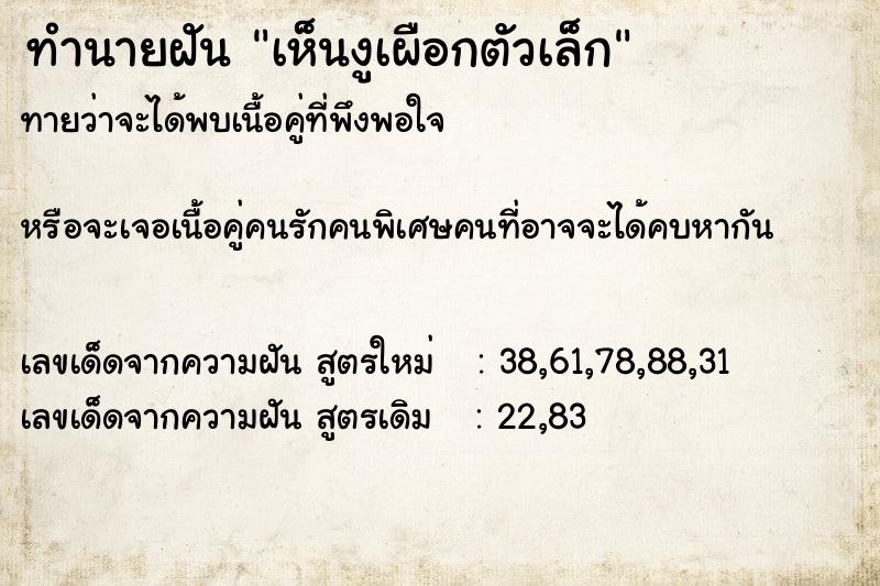 ทำนายฝัน เห็นงูเผือกตัวเล็ก ทำนายฝัน เห็นงูเผือกตัวเล็ก