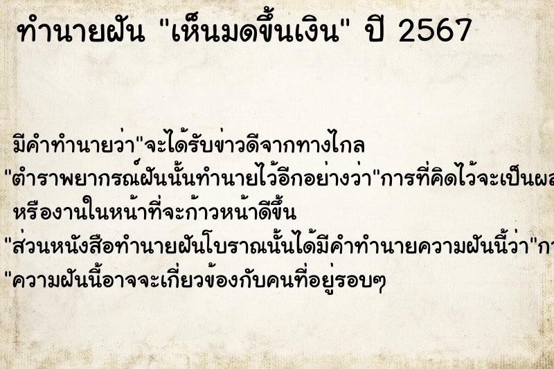 ทำนายฝัน เห็นมดขึ้นเงิน ทำนายฝัน เห็นมดขึ้นเงิน