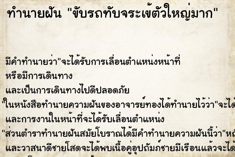 ทำนายฝัน ขับรถทับจระเข้ตัวใหญ่มาก