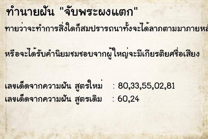 ทำนายฝันจับพระผงแตก ทำนายฝันทำนายฝันจับพระผงแตก