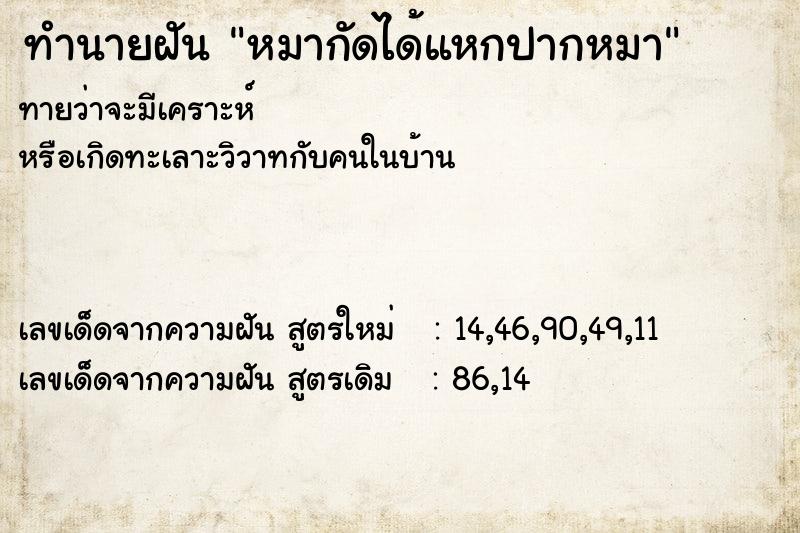 ทำนายฝันหมากัดได้แหกปากหมา ทำนายฝันทำนายฝันหมากัดได้แหกปากหมา