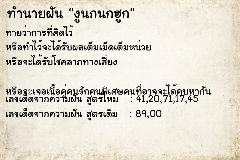 ทำนายฝันงูนกนกฮูก ทำนายฝันทำนายฝันงูนกนกฮูก