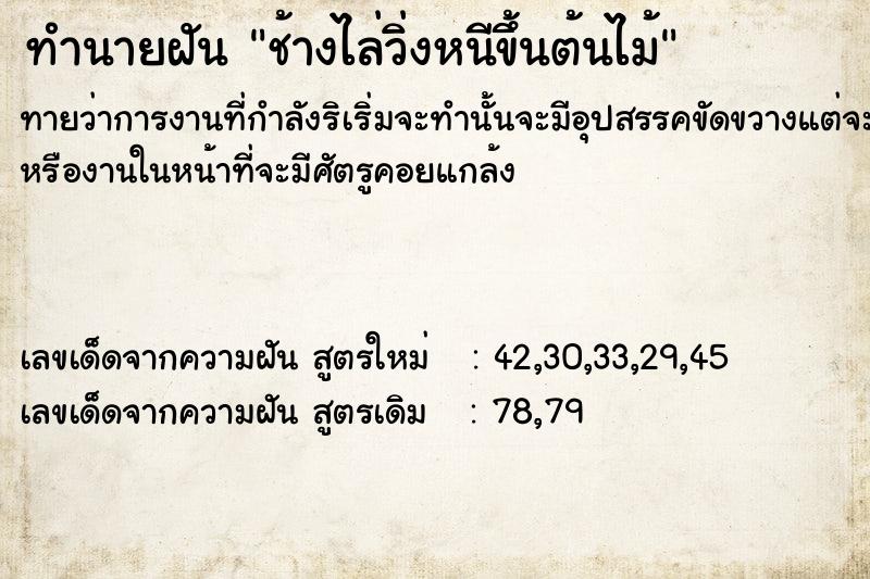 ทำนายฝันทำนายฝันช้างไล่วิ่งหนีขึ้นต้นไม้