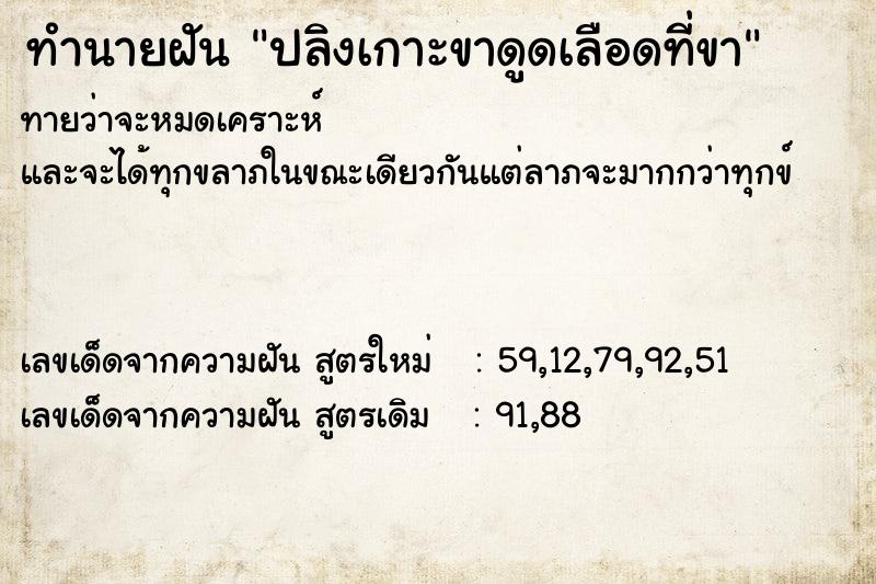 ทำนายฝันปลิงเกาะขาดูดเลือดที่ขา ทำนายฝันทำนายฝันปลิงเกาะขาดูดเลือดที่ขา