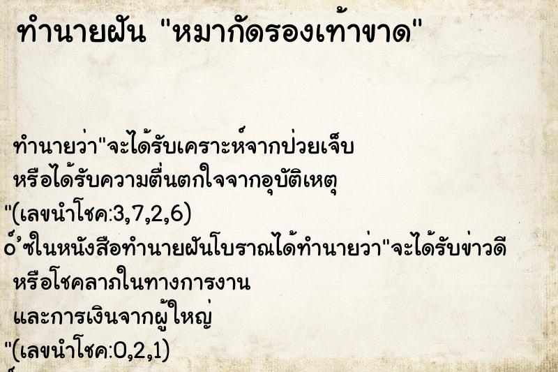 ทำนายฝัน หมากัดรองเท้าขาด