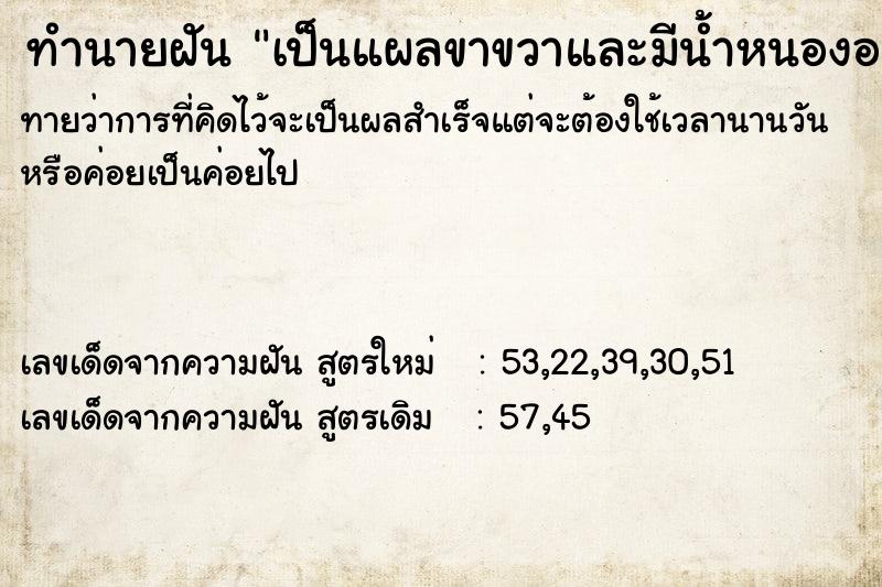 ทำนายฝันเป็นแผลขาขวาและมีน้ำหนองออก ทำนายฝันทำนายฝันเป็นแผลขาขวาและมีน้ำหนองออก