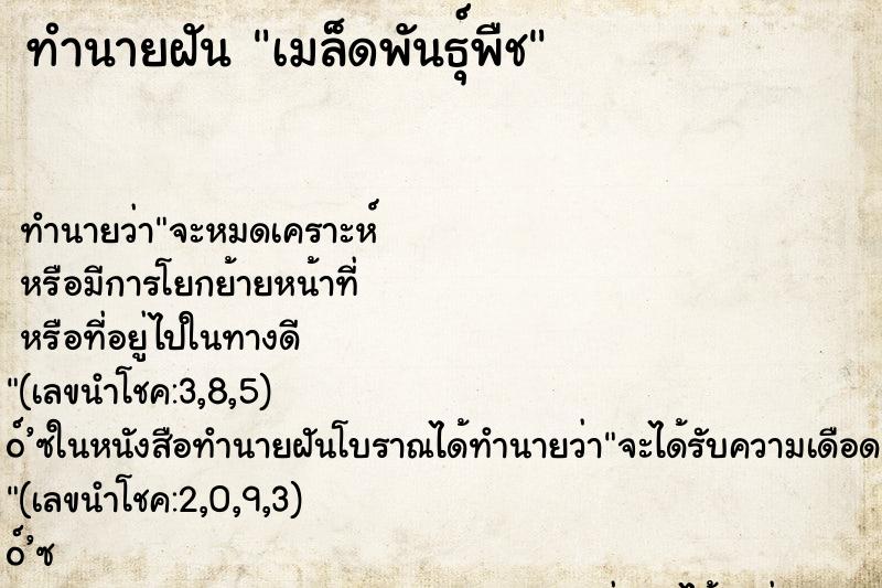 ทำนายฝัน เมล็ดพันธุ์พืช ทำนายฝัน เมล็ดพันธุ์พืช