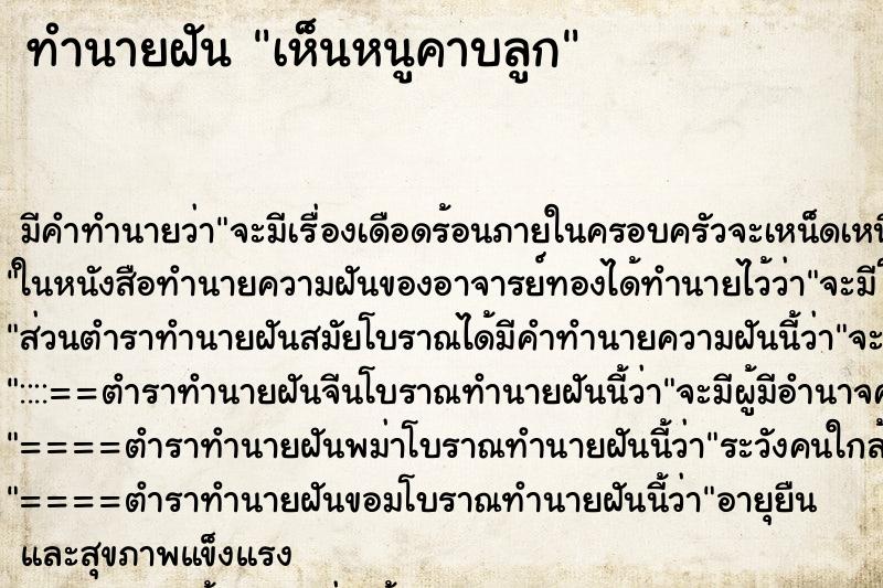 ทำนายฝัน เห็นหนูคาบลูก ทำนายฝัน เห็นหนูคาบลูก