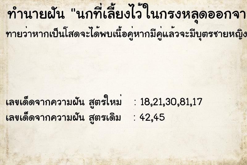 ทำนายฝันนกที่เลี้ยงไว้ในกรงหลุดออกจากกรง ทำนายฝันทำนายฝันนกที่เลี้ยงไว้ในกรงหลุดออกจากกรง