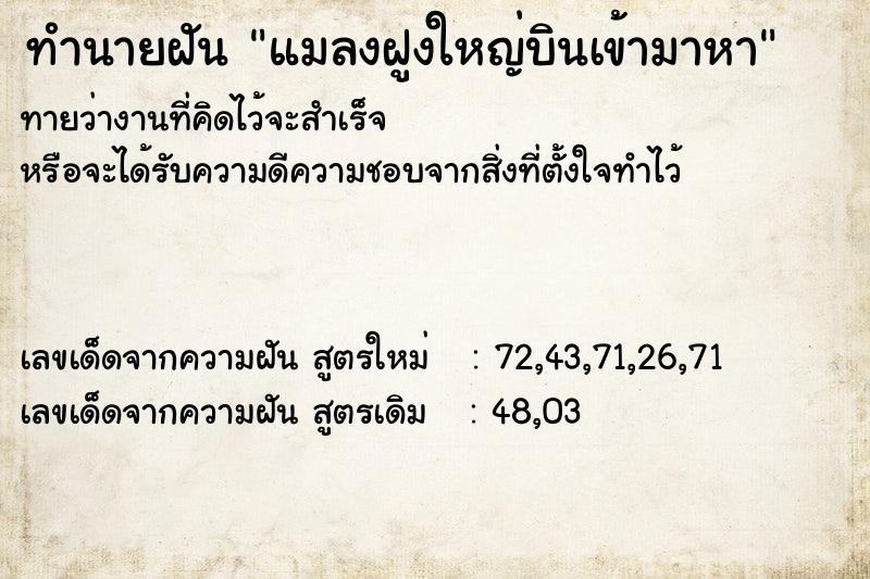 ทำนายฝันทำนายฝันแมลงฝูงใหญ่บินเข้ามาหา