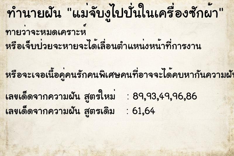 ทำนายฝันทำนายฝันแม่จับงูไปปั่นในเครื่องซักผ้า