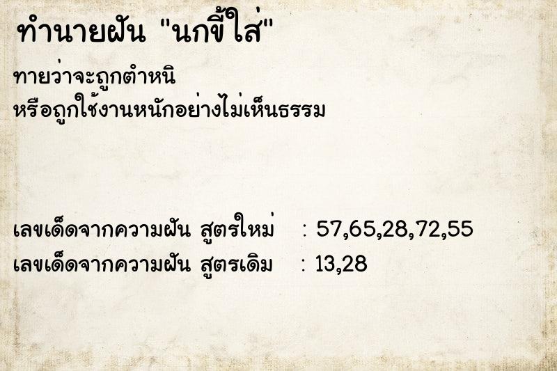 ทำนายฝันนกขี้ใส่ ทำนายฝันทำนายฝันนกขี้ใส่