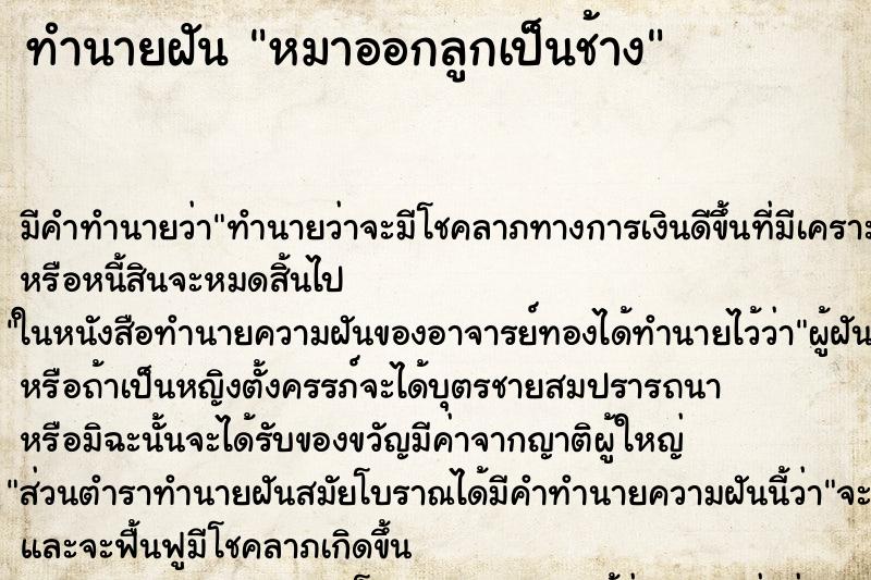 ทำนายฝันทำนายฝันหมาออกลูกเป็นช้าง