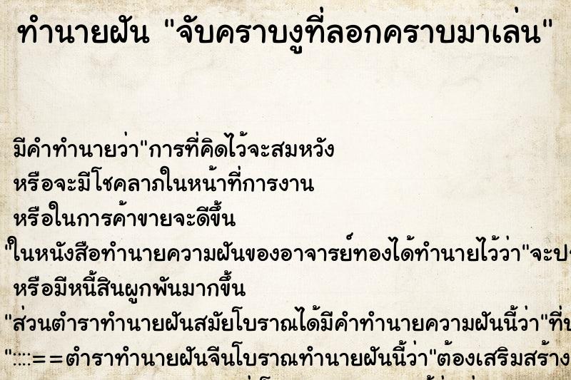 ทำนายฝันทำนายฝันจับคราบงูที่ลอกคราบมาเล่น