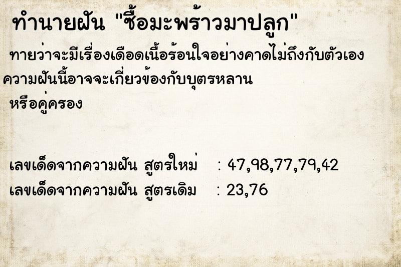 ทำนายฝัน ซื้อมะพร้าวมาปลูก