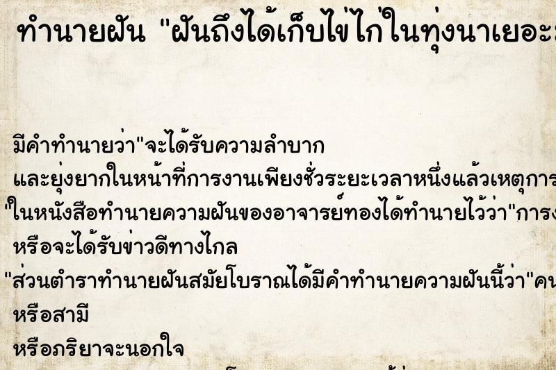 ทำนายฝันทำนายฝันฝันถึงได้เก็บไข่ไก่ในทุ่งนาเยอะมาก