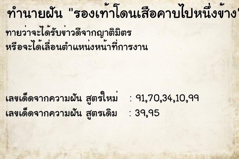 ทำนายฝันทำนายฝันรองเท้าโดนเสือคาบไปหนึ่งข้าง