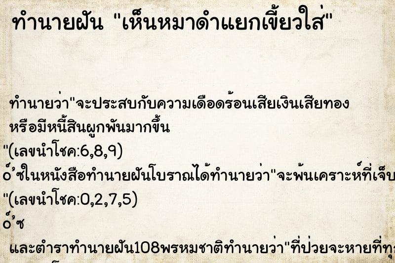 ทำนายฝันทำนายฝันเห็นหมาดำแยกเขี้ยวใส่