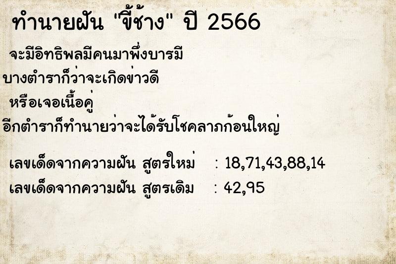 ทำนายฝัน ขี้ช้าง ทำนายฝัน ขี้ช้าง