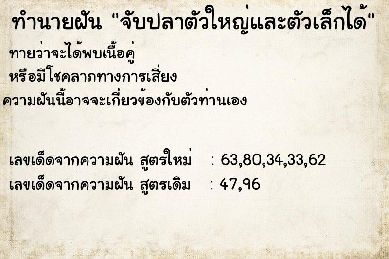 ทำนายฝันจับปลาตัวใหญ่และตัวเล็กได้ ทำนายฝันทำนายฝันจับปลาตัวใหญ่และตัวเล็กได้