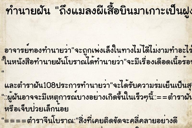 ทำนายฝันถึงแมลงผีเสื้อบินมาเกาะเป็นฝูงวัน ทำนายฝันทำนายฝันถึงแมลงผีเสื้อบินมาเกาะเป็นฝูงวัน