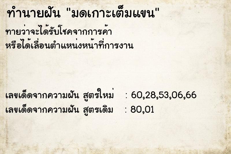 ทำนายฝันทำนายฝันมดเกาะเต็มแขน
