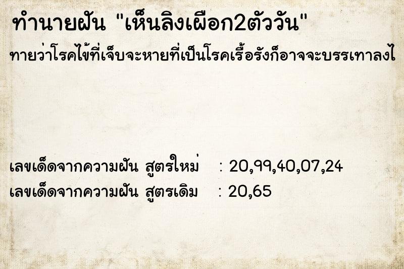 ทำนายฝันเห็นลิงเผือก2ตัววัน ทำนายฝันทำนายฝันเห็นลิงเผือก2ตัววัน