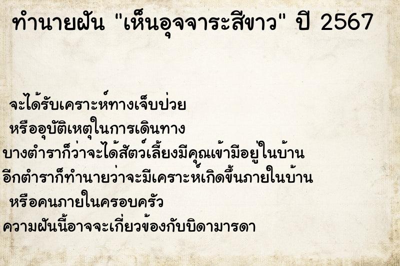 ทำนายฝัน เห็นอุจจาระสีขาว ตำราโบราณ แม่นที่สุดในโลก