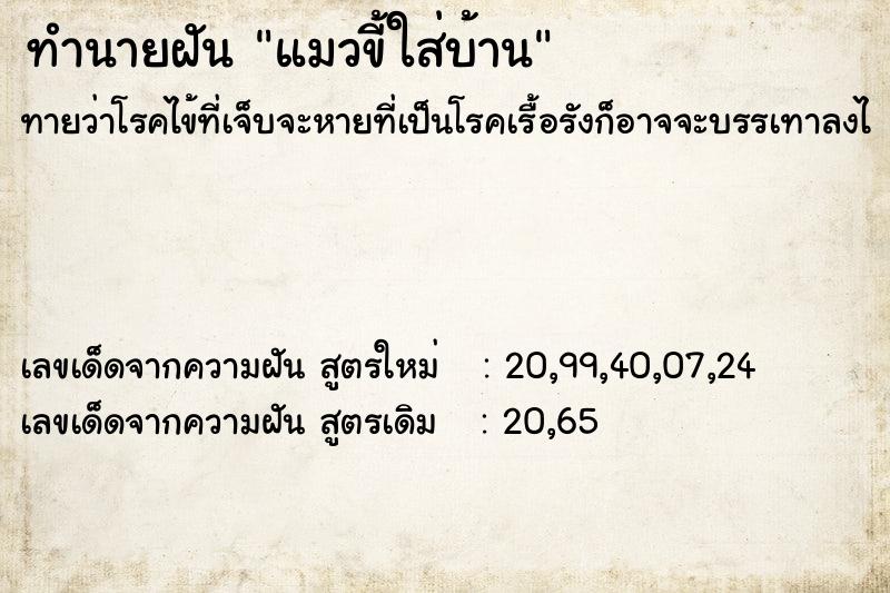 ทำนายฝันทำนายฝันแมวขี้ใส่บ้าน