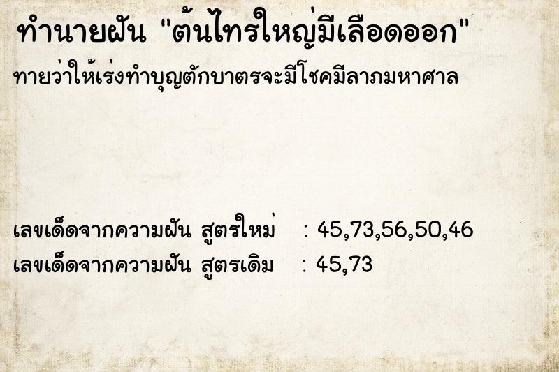 ทำนายฝันต้นไทรใหญ่มีเลือดออก ทำนายฝันทำนายฝันต้นไทรใหญ่มีเลือดออก