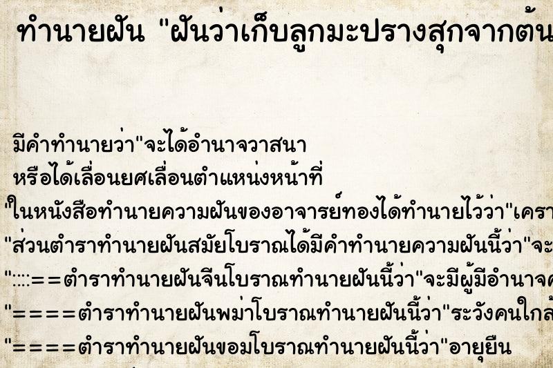 ทำนายฝัน ฝันว่าเก็บลูกมะปรางสุกจากต้น ทำนายฝัน ฝันว่าเก็บลูกมะปรางสุกจากต้น