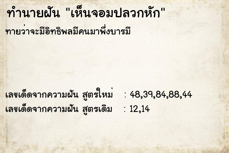 ทำนายฝัน เห็นจอมปลวกหัก ตำราโบราณ แม่นที่สุดในโลก