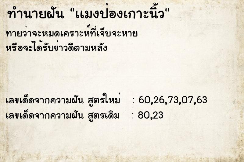 ทำนายฝันทำนายฝันเเมงป่องเกาะนิ้ว