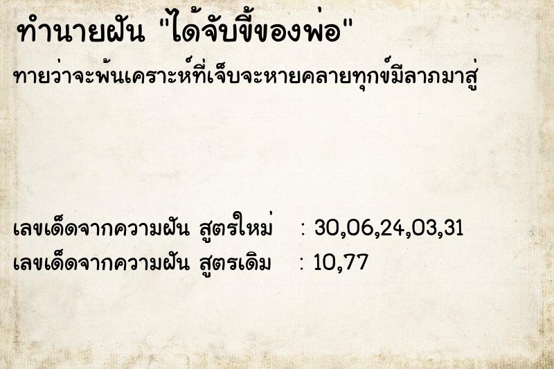 ทำนายฝันทำนายฝันได้จับขี้ของพ่อ