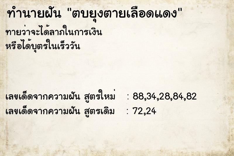 ทำนายฝัน ตบยุงตายเลือดแดง ตำราโบราณ แม่นที่สุดในโลก