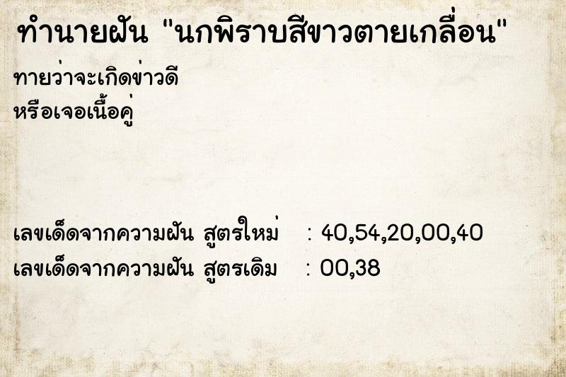 ทำนายฝันทำนายฝันนกพิราบสีขาวตายเกลื่อน