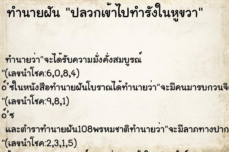 ทำนายฝันปลวกเข้าไปทำรังในหูขวา ทำนายฝันทำนายฝันปลวกเข้าไปทำรังในหูขวา