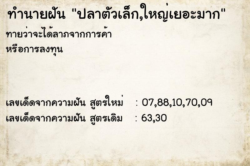 ทำนายฝันทำนายฝันปลาตัวเล็ก,ใหญ่เยอะมาก