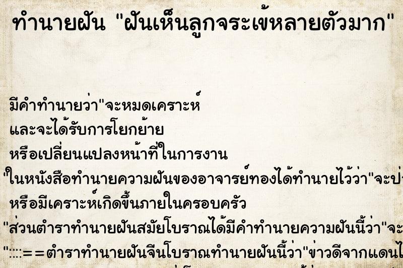 ทำนายฝัน ฝันเห็นลูกจระเข้หลายตัวมาก ทำนายฝัน ฝันเห็นลูกจระเข้หลายตัวมาก