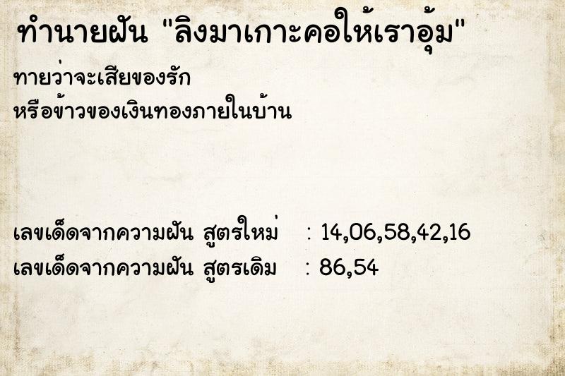 ทำนายฝันลิงมาเกาะคอให้เราอุ้ม ทำนายฝันทำนายฝันลิงมาเกาะคอให้เราอุ้ม
