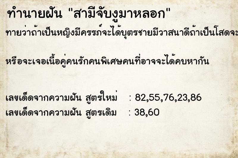ทำนายฝันสามีจับงูมาหลอก ทำนายฝันทำนายฝันสามีจับงูมาหลอก