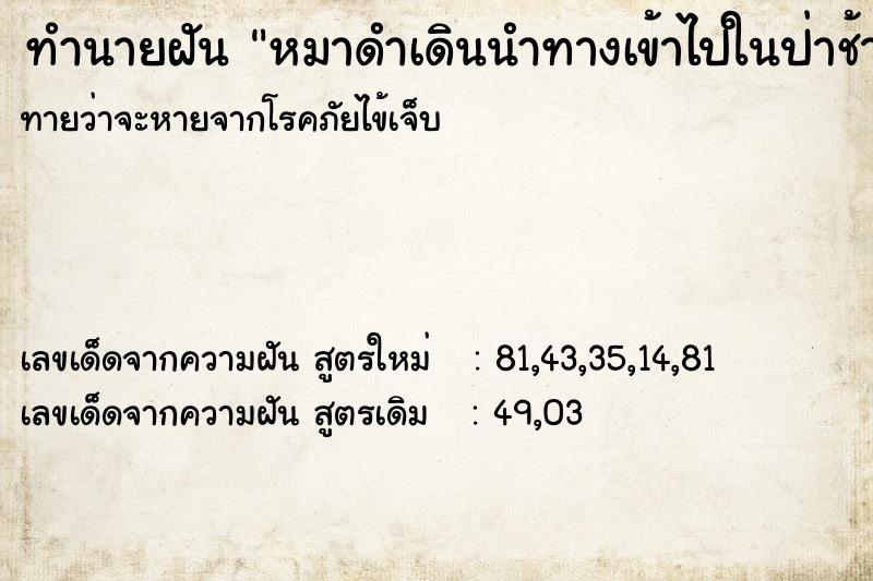 ทำนายฝันหมาดำเดินนำทางเข้าไปในป่าช้า ทำนายฝันทำนายฝันหมาดำเดินนำทางเข้าไปในป่าช้า