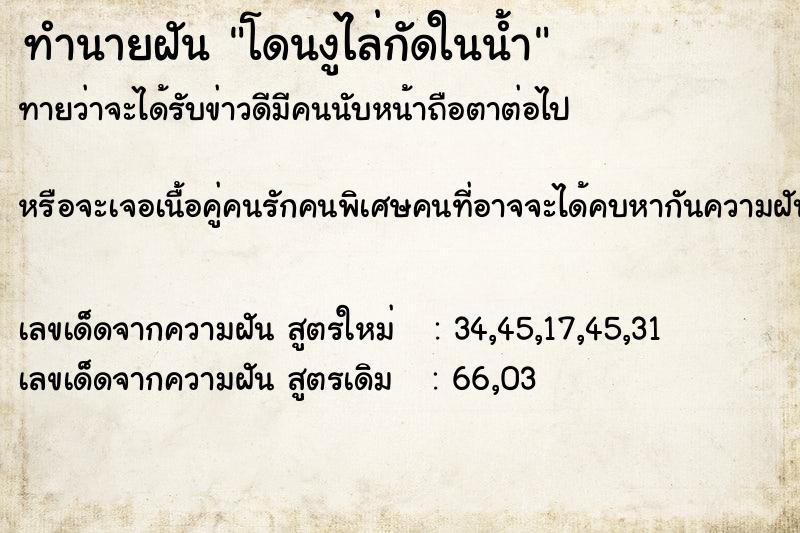 ทำนายฝัน โดนงูไล่กัดในน้ำ ทำนายฝัน โดนงูไล่กัดในน้ำ