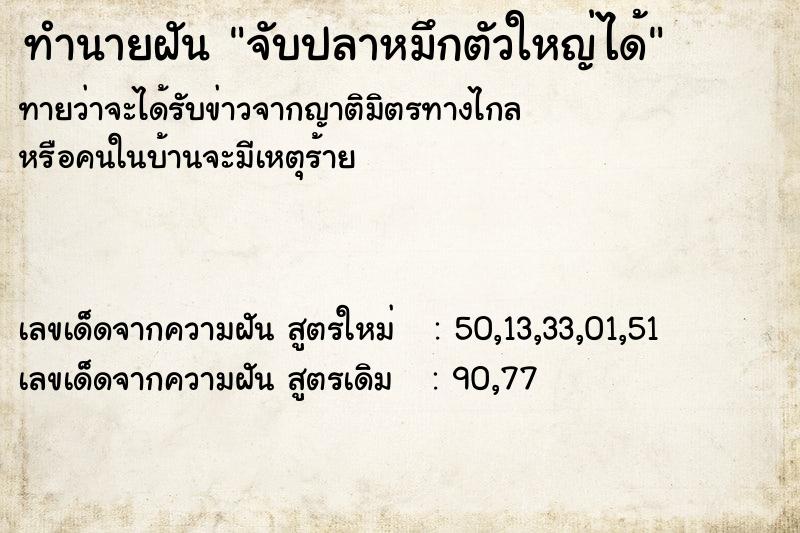 ทำนายฝันจับปลาหมึกตัวใหญ่ได้ ทำนายฝันทำนายฝันจับปลาหมึกตัวใหญ่ได้