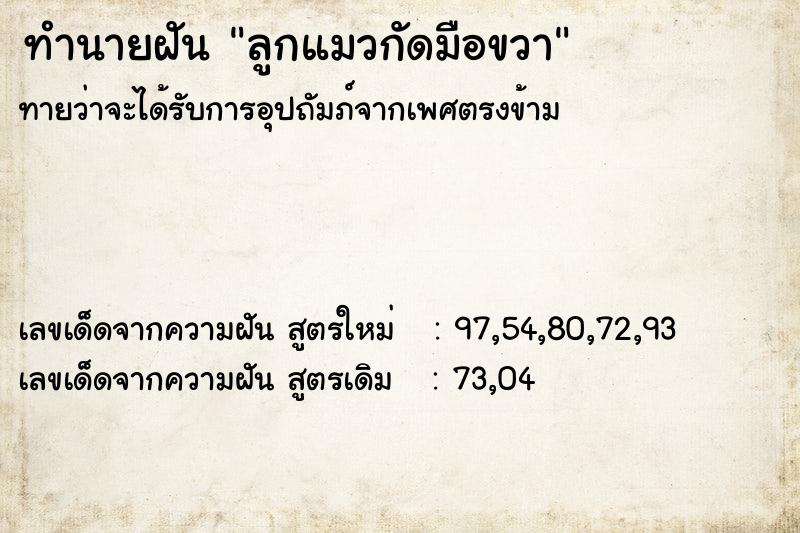 ทำนายฝันลูกแมวกัดมือขวา ทำนายฝันทำนายฝันลูกแมวกัดมือขวา