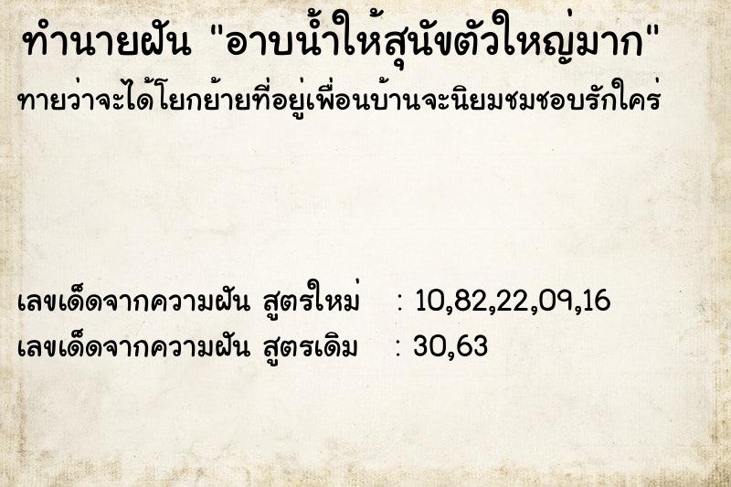 ทำนายฝันทำนายฝันอาบน้ำให้สุนัขตัวใหญ่มาก