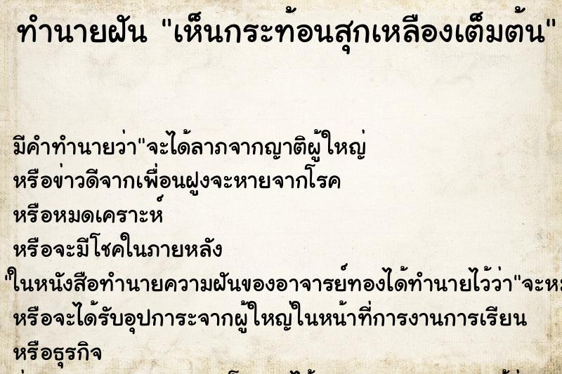 ทำนายฝันเห็นกระท้อนสุกเหลืองเต็มต้น ทำนายฝันทำนายฝันเห็นกระท้อนสุกเหลืองเต็มต้น
