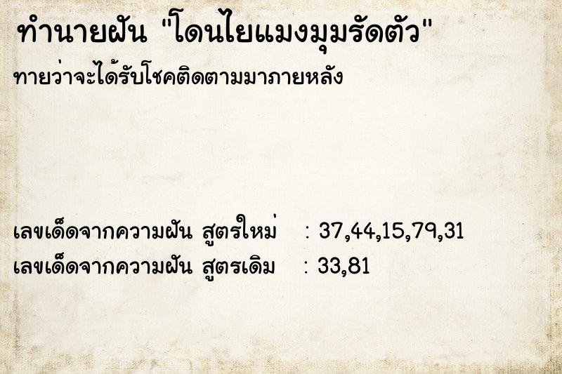 ทำนายฝันทำนายฝันโดนไยแมงมุมรัดตัว