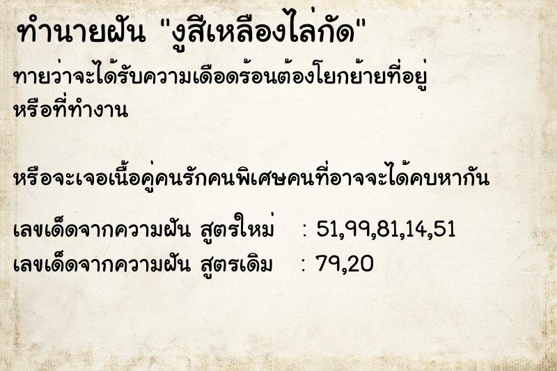 ทำนายฝันงูสีเหลืองไล่กัด ทำนายฝันทำนายฝันงูสีเหลืองไล่กัด