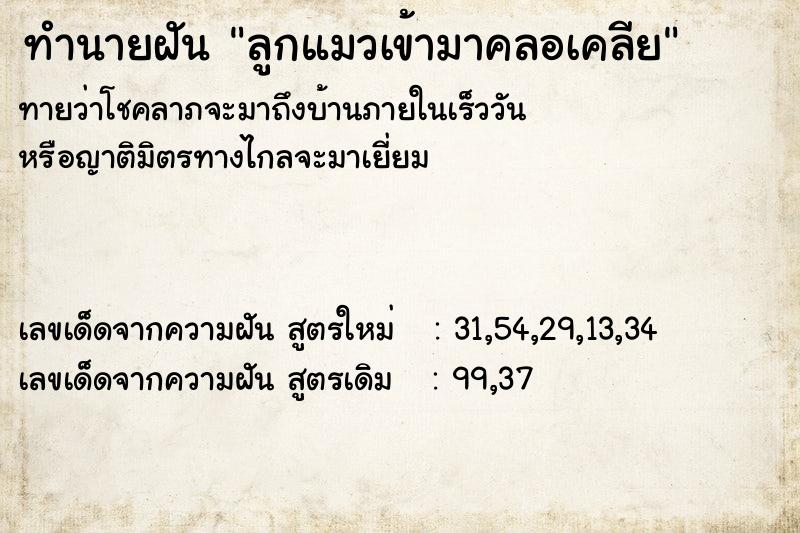 ทำนายฝันทำนายฝันลูกแมวเข้ามาคลอเคลีย